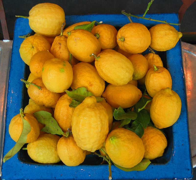 A picture named limonig.jpg