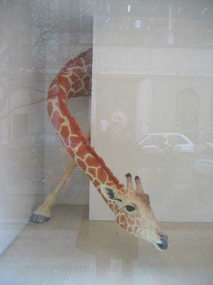 A picture named GIRAFFA-G.jpg