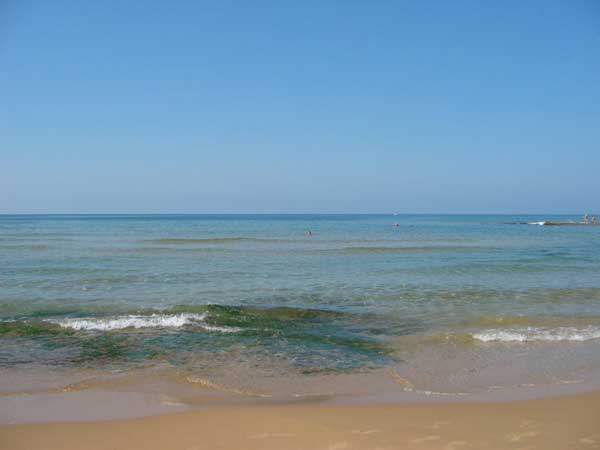 A picture named Marinaaaa!g.jpg