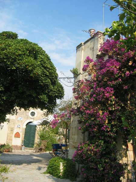 A picture named staremo-sulla-torreg.jpg